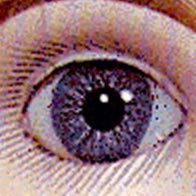 ahcahcum_shinya's profile picture. achachumu あちゃちゅむ