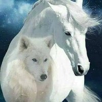 Sabrina.polito (@sabrinapolito2) 's Twitter Profile