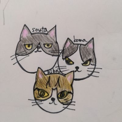 保護猫3匹と暮らしてます。猫大好きで絵を書くことも好きです。下手くそだけど、うちの猫の可愛さを伝えたいのです！始めたばっかりですが、コツコツ絵を載せていきます。