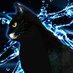 黒猫合唱団事務局 (@kuroneko_lab) Twitter profile photo 黒猫合唱団事務局 (@kuroneko_lab) Twitter profile photo