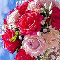 PIR MUHAMMAD YAQUB CHISHTI (@yaqubpir) Twitter profile photo