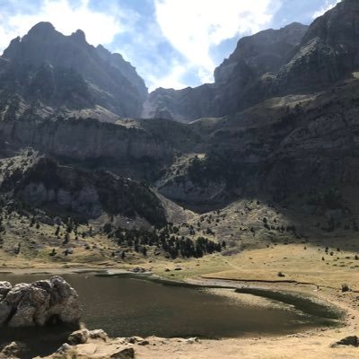 jcidoncha82's profile picture. Padre de familia, haciendo equipo con Patri, Noa y Kira❤️. Gerente de Mercadona pero en mi corazón siempre seré pollero.