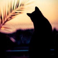 ๐ฆ๐๐ (@autmn_apart) 's Twitter Profile