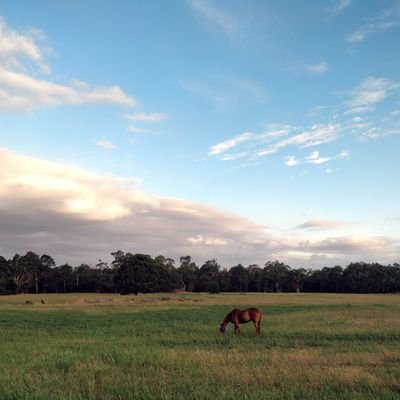 rayniuhua's profile picture. 