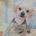 CoCo (@tomokelly0109) Twitter profile photo CoCo (@tomokelly0109) Twitter profile photo