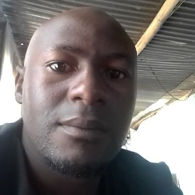 jikie008's profile picture. Curiosity