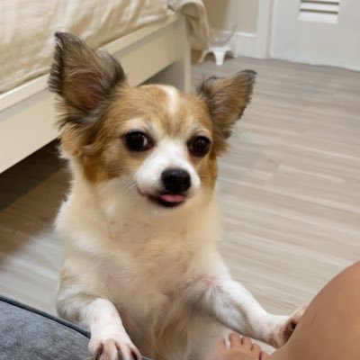 chvvsk_a's profile picture. 