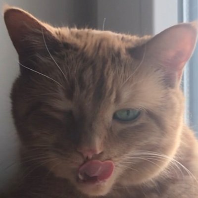 spielerleben's profile picture. 