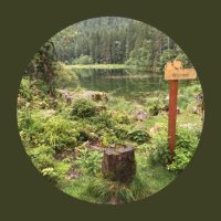 ديرت العز يابلادي (@aqz0u9yeyzyq0jo) 's Twitter Profile Photo