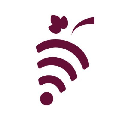 SmartAgroGrape's profile picture. Digital platform for winegrowers in introducing common environmental approaches to reduce the burden of agriculture on the environment. #smartagrogrape