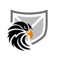 SECUINFRA FALCON TEAM(@SI_FalconTeam) 's Twitter Profile Photo