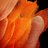 ImranParves3's profile image