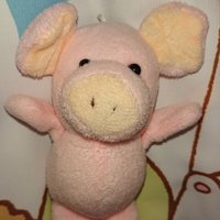 いづみ🐷ぶた太 (@boo3283) 's Twitter Profile