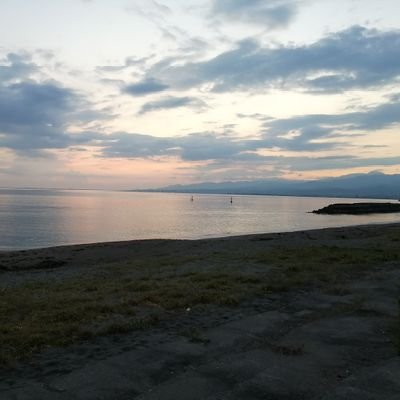 kshima21's profile picture. ✨🆕✨🌲✨🌲✨🏃‍♂️✨