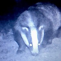 Jane Beardmore-Jones (@janeb70) 's Twitter Profile