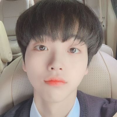 one it :3♡
luvity 
biased wooseok /hyeongjun