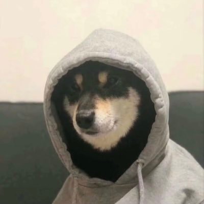 Homo171564's profile picture. 