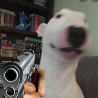 Jasper (@jasp3rfn) 's Twitter Profile