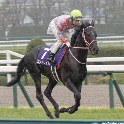 こんとれいるさんのプロフィール画像
