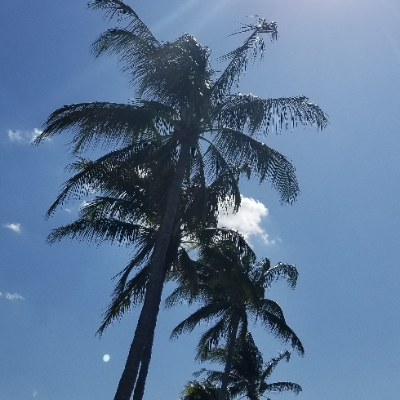 N56085918's profile picture. la cita perfecta
-
Soft, pro male voiceover artist | Starting at $5 on Fiverr https://t.co/76lz4o85SQ