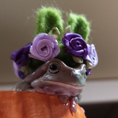 wx2jajgiddy7nb1's profile picture. カエル🐸が大好きです♡
気軽に絡んで貰えると喜びます。
たまに虫が出ますので､苦手な方はご注意ください⚠️
TLが中々追えず､すみません(；・∀・)
夜行性←