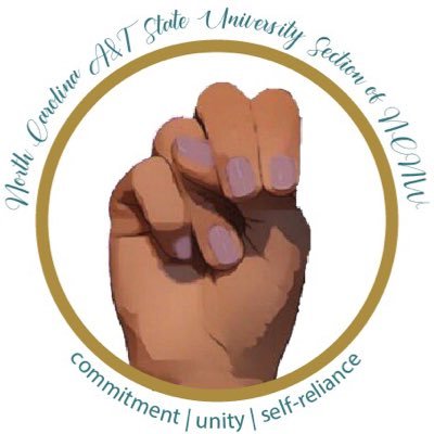 Founded by Mary McLeod Bethune on Dec 5th, 1935 to represent, develop, grow and support African American women and the community.