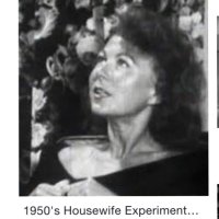 averagehousewife (@averagehouswif) 's Twitter Profile