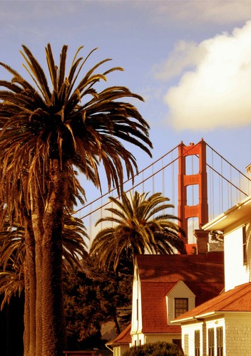 A_Holmesian's profile picture. Against fascism, racism & misogyny. Proud to call myself a rational liberal.