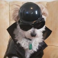 "Old School" (@oldscho80042483) 's Twitter Profile