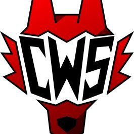 CyberWolves Studioさんのプロフィール画像
