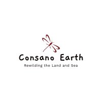 Consano Earth (@consanoearth) 's Twitter Profile
