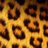 Boncarol88's profile image