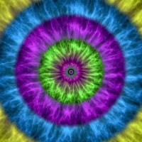 Shape (@shapenfts) 's Twitter Profile