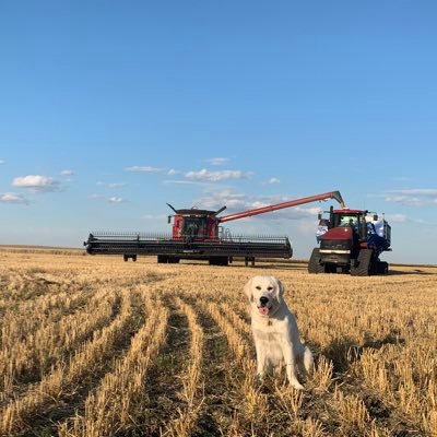 Dad to 3, Awesome Wife, farming, ND Hounds, Milestone Flyers, Riders