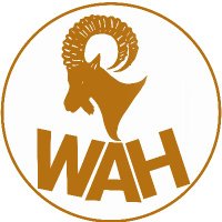 وكالة أنباء حضرموت (@wahnewsagency) Twitter profile photo