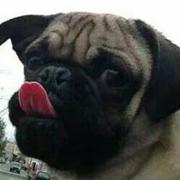 Yosoy🍉 (@yrmakahlo) 's Twitter Profile