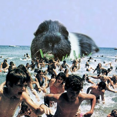 MoronMonday24x7's profile picture. i hate bruce. this is just a tribute.