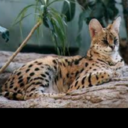 Samara Hansen - @SamaraHansen - Twitter