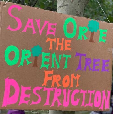 Campaigning to save 122 trees in a  maturing woodland in Waltham Forest E10