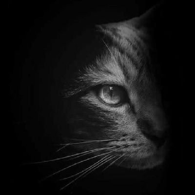 Party62584834's profile picture. hi