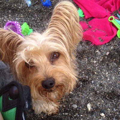 faritupilo's profile picture. just because✨