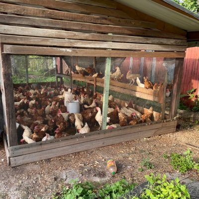 C416Noel41's profile picture. 