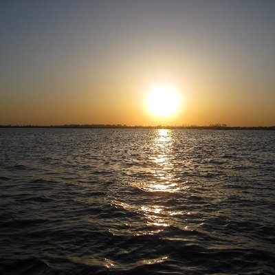 puppymom1958's profile picture. Retired, America First, and mom of 4 pups. I don’t share pictures due to super, super senior dad who views X and doesn’t share my views.