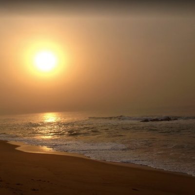 japitudei's profile picture. La mejor victoria es vencer sin combatir. SunTzu
#Buenasvibras #Namasté #Rayoverde