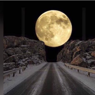 alwaleed7003's profile picture. عندما يأتي المساء