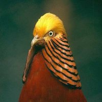 Name cannot be blank (@dumbcatchphrase) 's Twitter Profile
