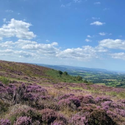 ChloeDooley1999's profile picture. 