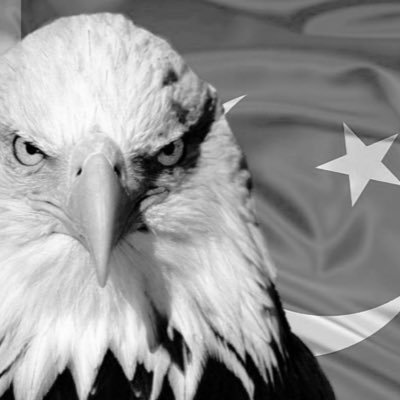 Democratic, traveler, loves nature, believes in rule of law, humanity and equality.