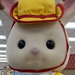 Kathryn03365468's profile picture. 