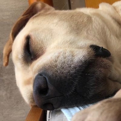 kuku_1367821's profile picture. 人生いそがすのんびりと